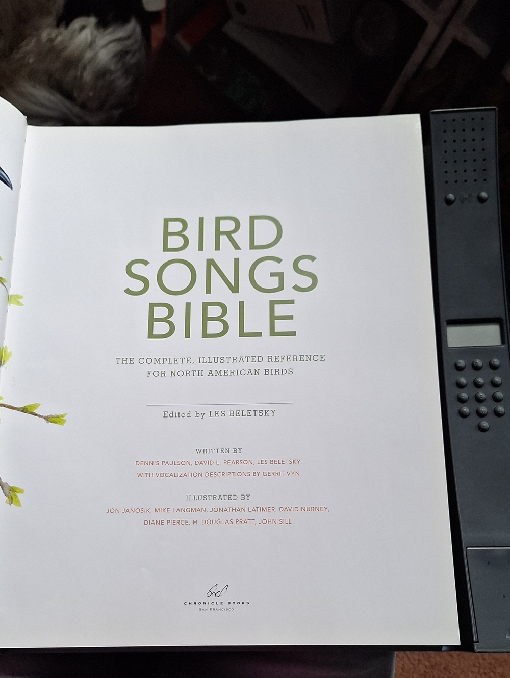 Bird Songs Bible By Les BELETSKY -